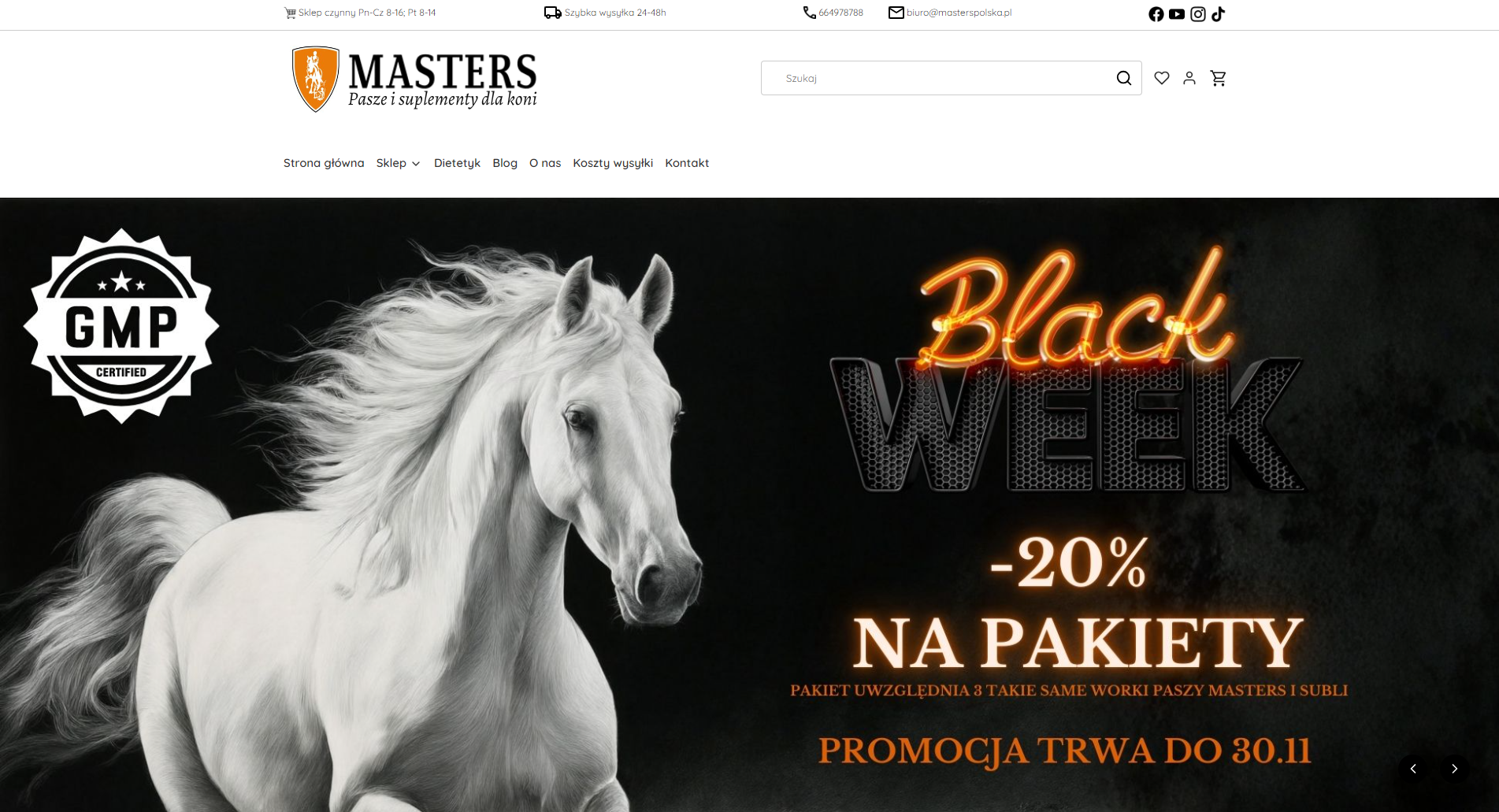 Pasza dla koni - jak dobrać ją do wieku, rasy i poziomu aktywności?